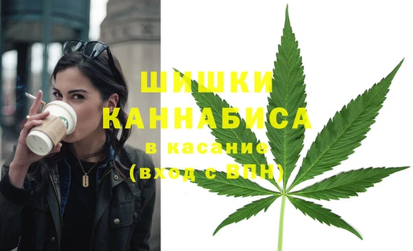амф Нефтекумск