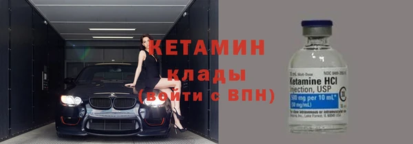 прущие грибы Навашино