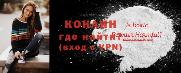 МДПВ Нея