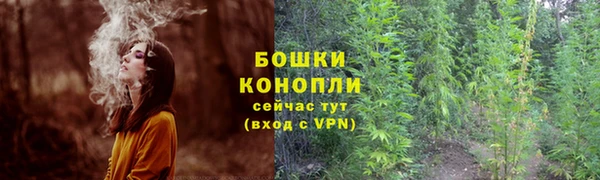 амф Нефтекумск